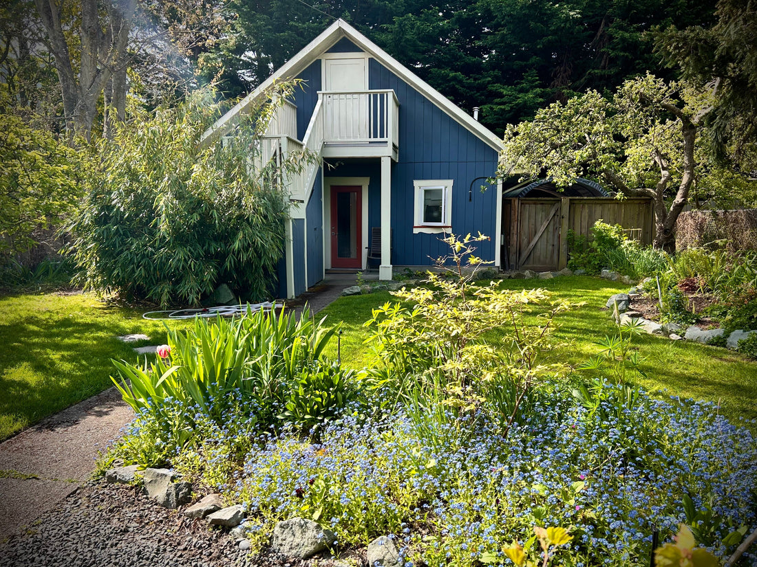 Sirene: a small family run chocolate-making company since 2013