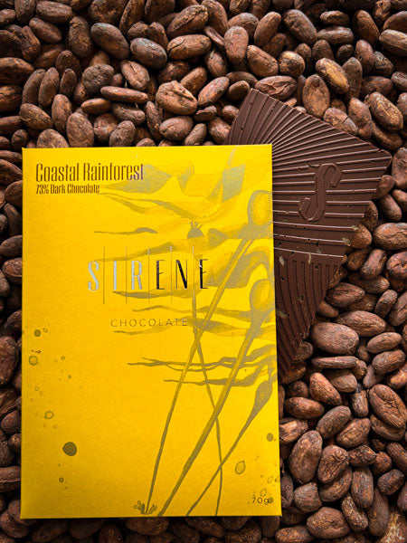 Forêt tropicale côtière 73 % sombre