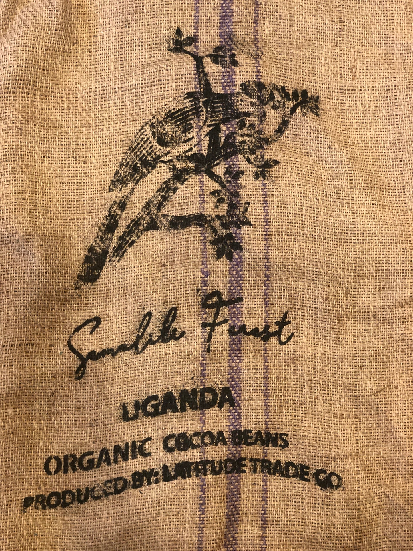 100 % forêt de Semuliki, Ouganda