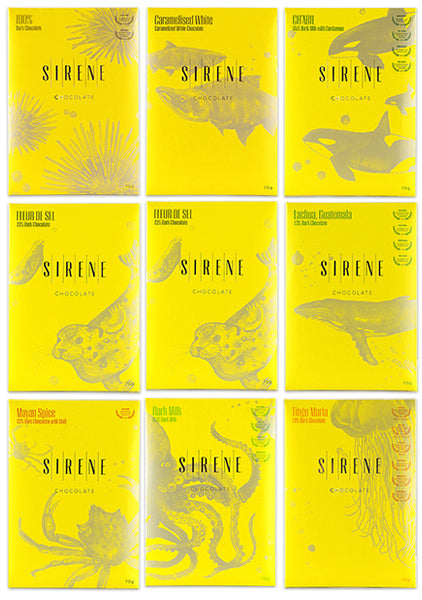 Adventurer Collection